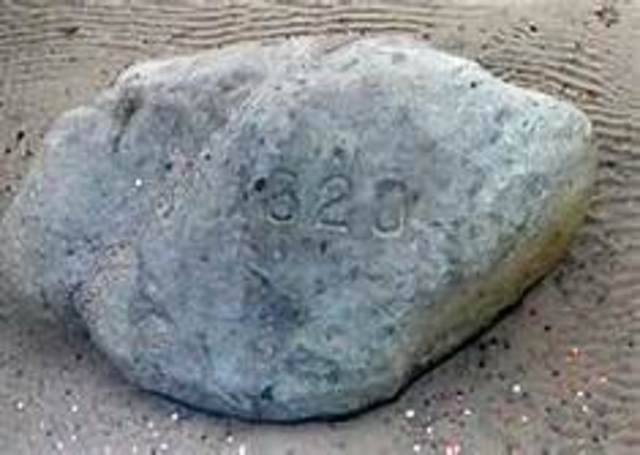 Plymouth Rock