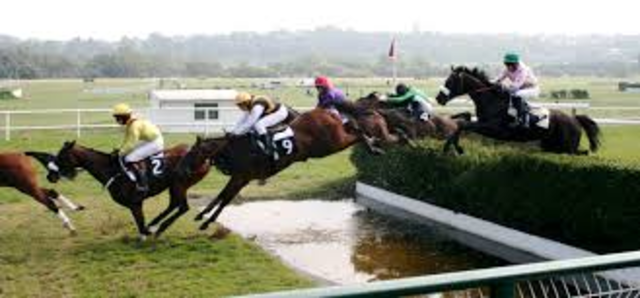 Steeplechase Horserace
