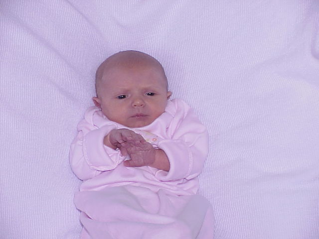 Adulthood - Biosocial