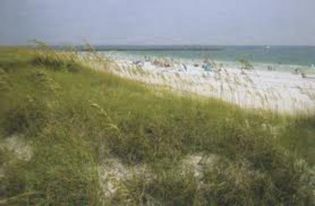 Juan Ponce de Leon discoverd florida in 1513