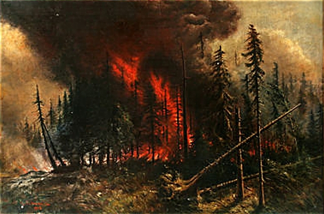 Forest fire