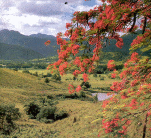 extension territorial