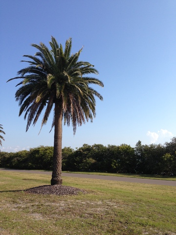 I Went To Tampa For Spring Break