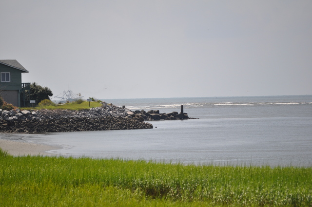 The day I went to the beach