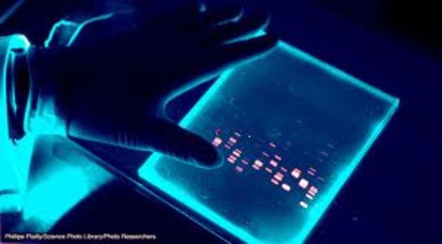 DNA Fingerprinting