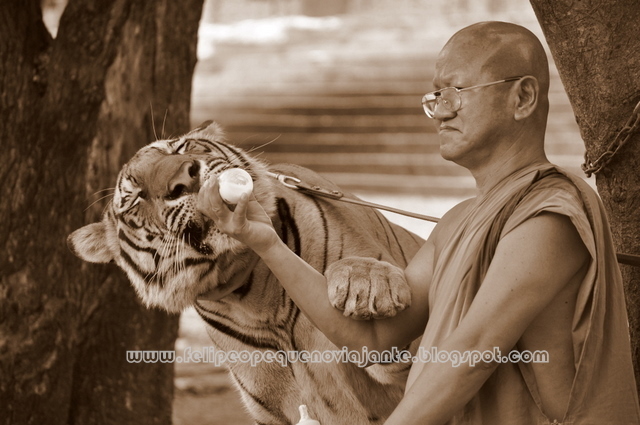 Crescimento da EAD na Tailândia e Indonésia