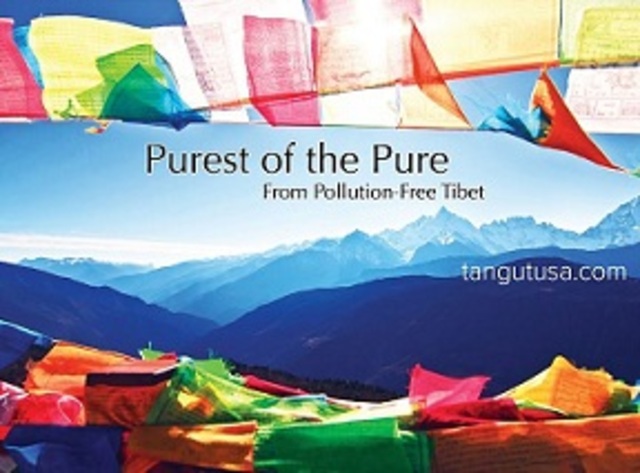 Tangut people/ Kingdom of Xi Xia