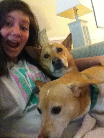 Yo encontré dos perros en primer grado.