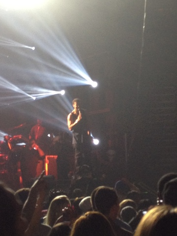 Fui a muchos conciertos.