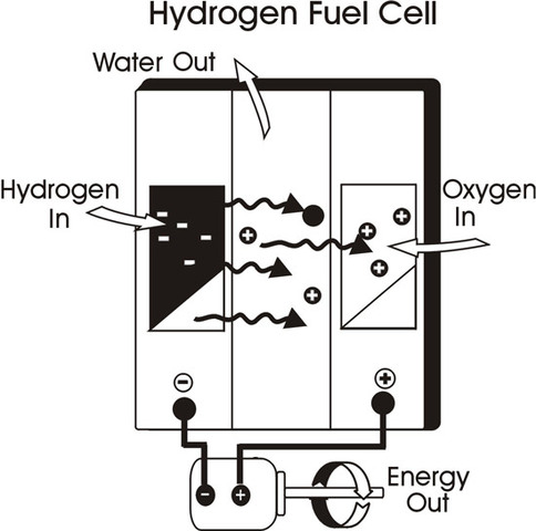 Hydrogen Fuel Cell Vehicles