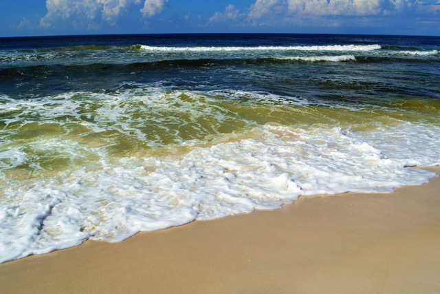 First trip to Florida: My favorite place