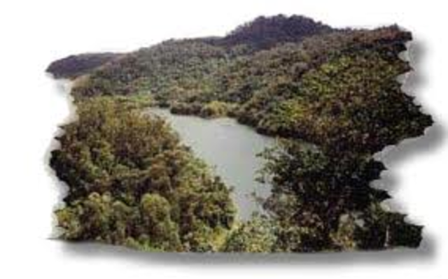 Zona geografica y topografia