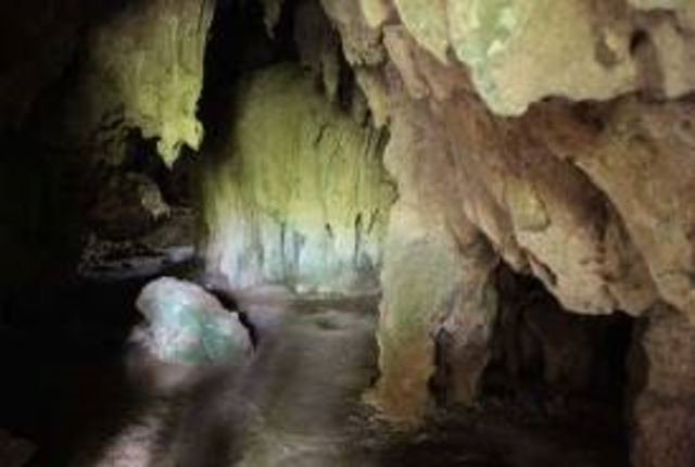 Actrativo turistico de morovis