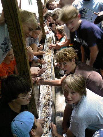 Mi primera vez a campamento