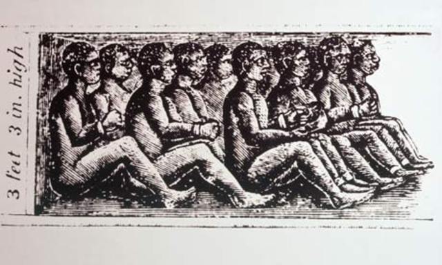 Placement of Slaves Illustration