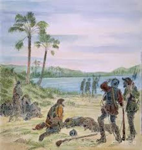 Panfilo Narvaez attempts to settle area near Tampa Bay with 600 people including slaves. Lack of supplies and hurricanes doom venture.