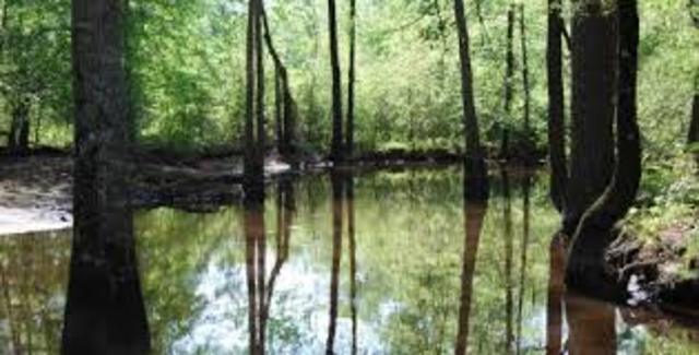 Four survivors of the doomed Tampa Bay settlement end up in Gulf Coast after walking through the wilderness for eight years. Estevanico, an African slave, ensures their survival by learning to communicate with natives along the way.