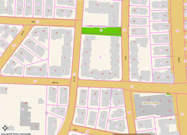 תוכנית גדס 1925- שלטון המנדט הבריטי