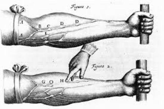 william harvey discovering circulation of blood