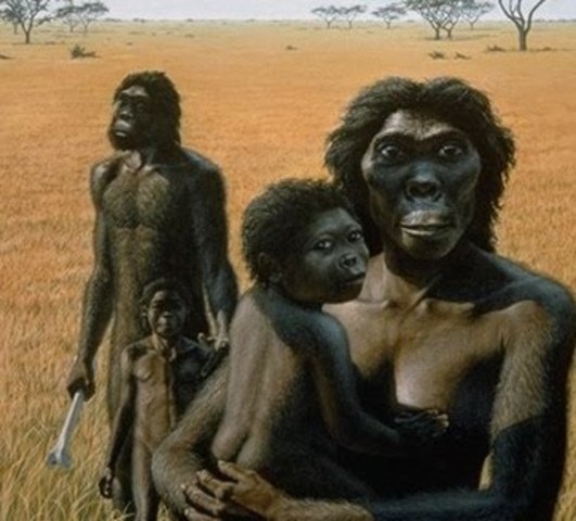 Australopithecus Africanus (4.5 Millones de años a.C)