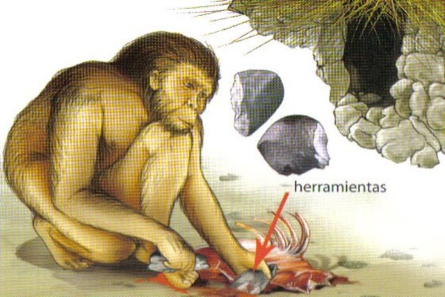 Homo Habilis (1.9 millones de años a.C)