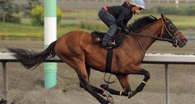 The first Queen's Plate race is held in Toronto.