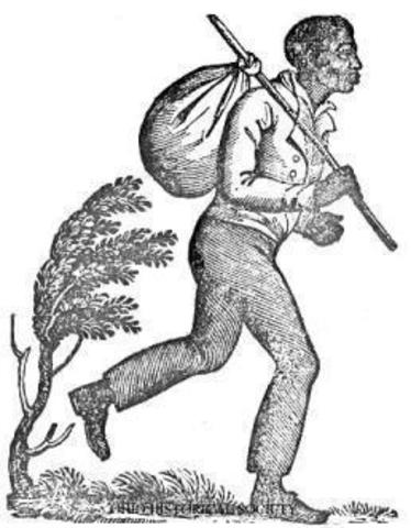 Lost on the journey and survival