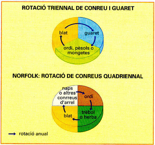 Crisis de subsistencia