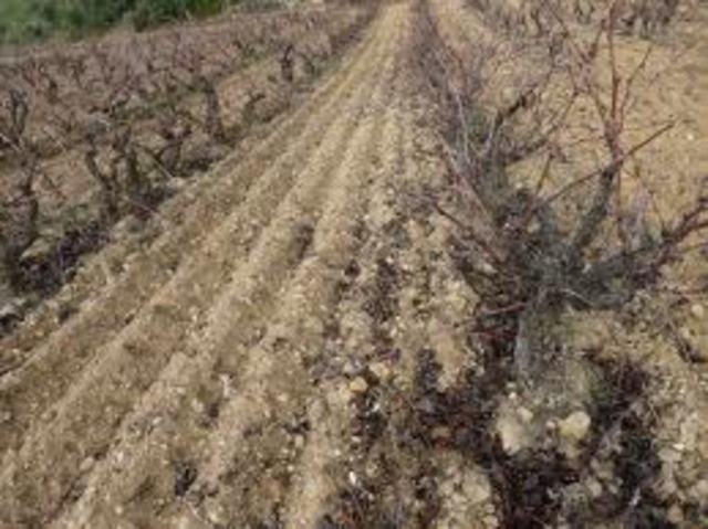 Sequeres i males collites