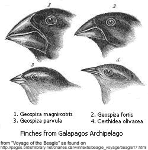 Galapagos Islands, Ecuador