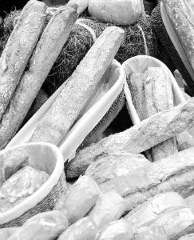 AUGMENTA LA MENDICITAT