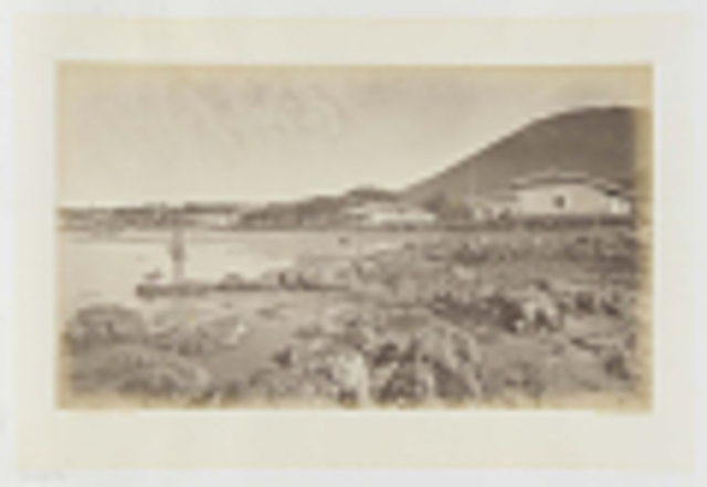 Giovanni Da Verazano