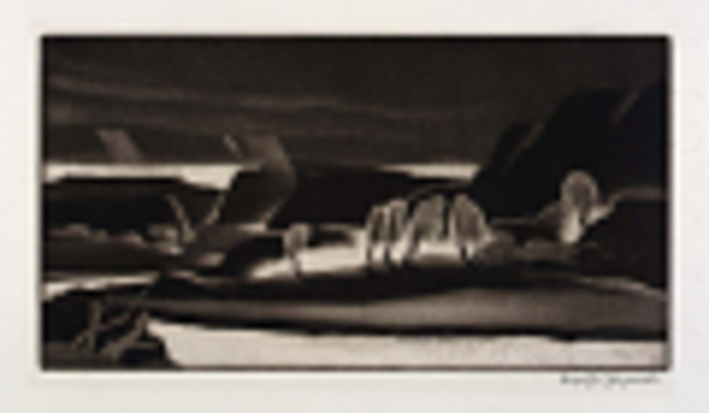 Francisco vasquaz de cotoriado