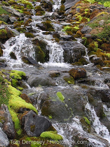 Tierra del Fuego, Argentina