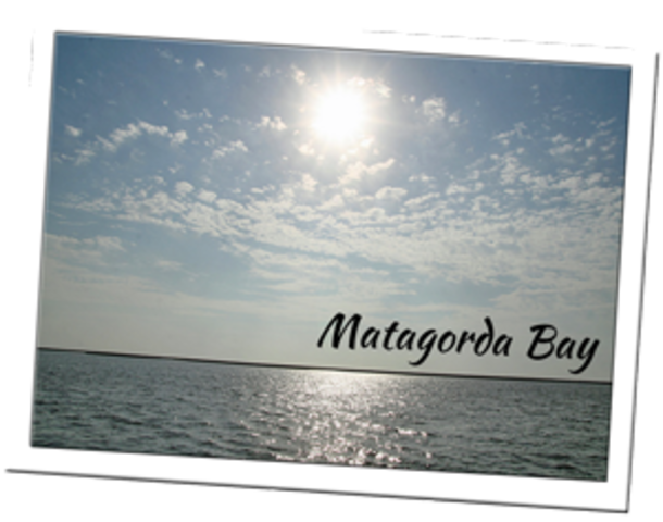 Spainish find La-Salle's fort at Matagorda Bay