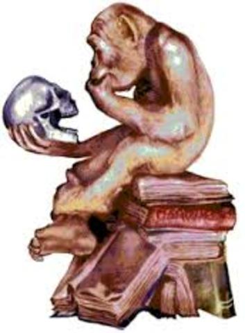 la antropologia se utiliza para el estudio del ser humano