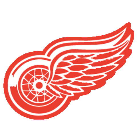 National Hockey League Champions - Detroit Red Wings
