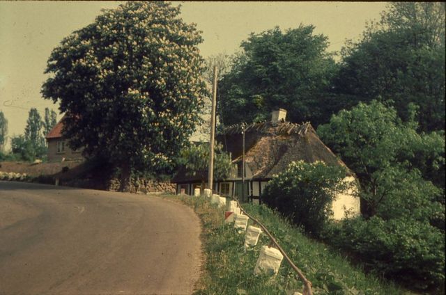 Hist hvor vejen slår en bugt