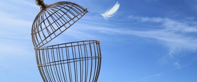 Germany's Withdraw from Rhine