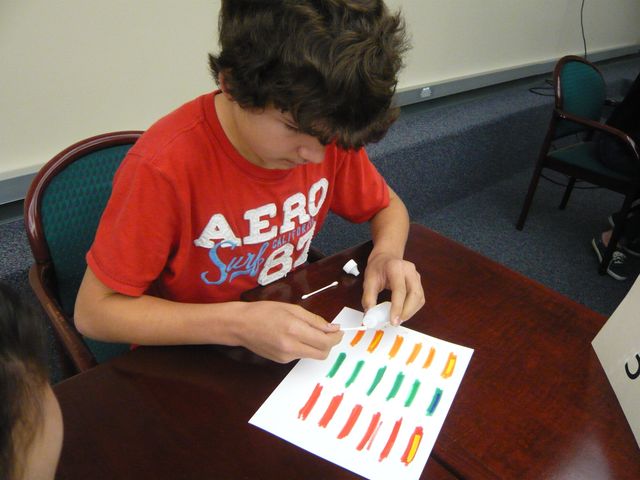 High Magnetic Field Laboratory Holmes & Washington