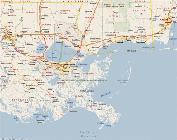 Tampa Bay survivors explore the Gulf Coast