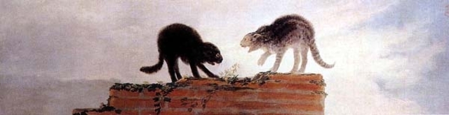 Gatos riñendo