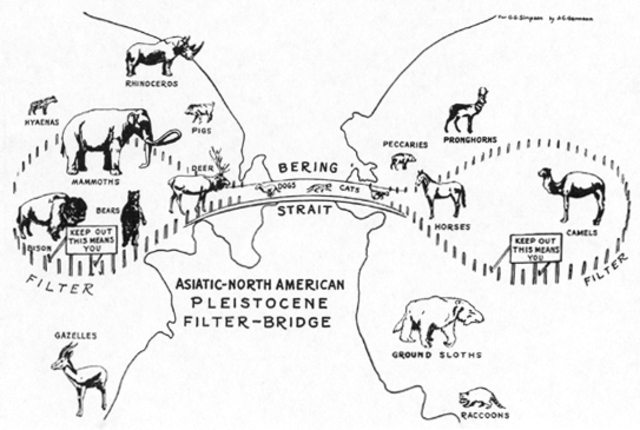 Across a Land bridge