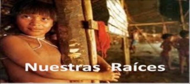 Lección 2. Actividad de Desarrollo.