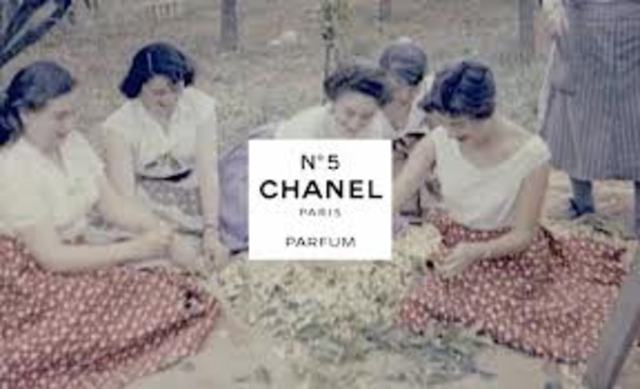 The first version of Chanel N 5 comes alive.