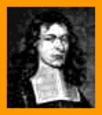 The reflecting telescope