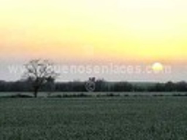 Presentación de documento del tema.