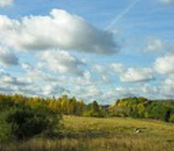 Presentación de video en Movie Maker.