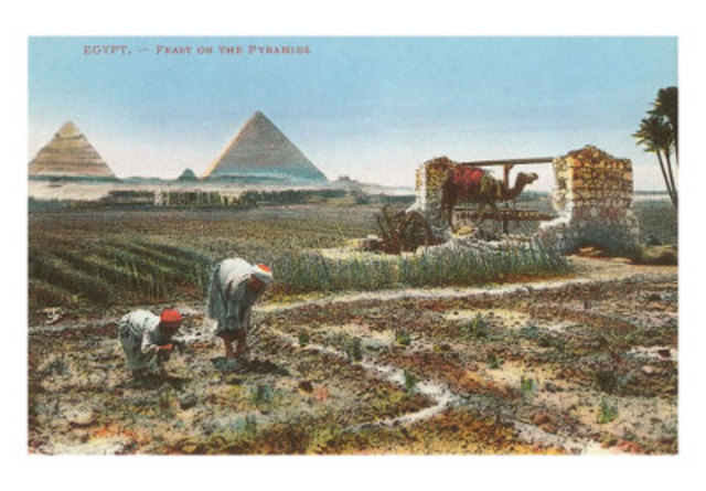 BC Organized Farming begins (Geo)