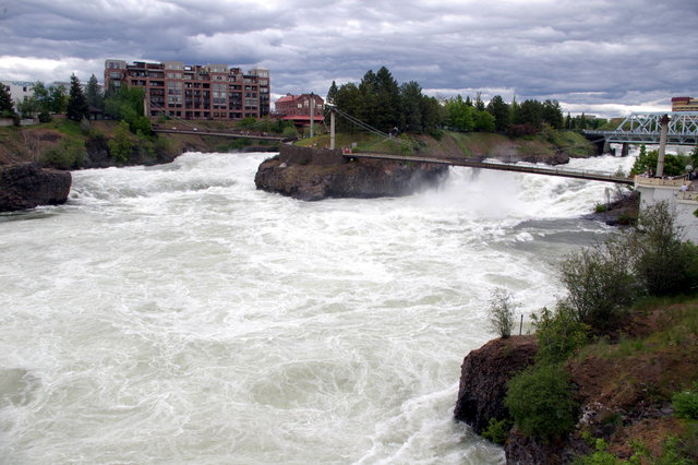 Spokane Falls Gets Adopted